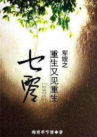 七零军嫂重生记