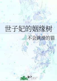 世子妃是什么身份