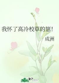 我怀了高冷校草的崽成洲