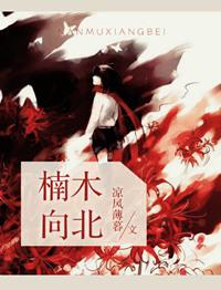 楠木向北电视剧免费观看