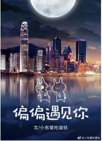 偏偏遇见你是什么意思