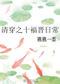 清穿之十福晋查查全文阅读