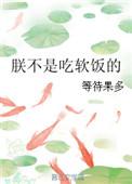 我爹地不是吃软饭