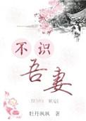 妻不识夫故事