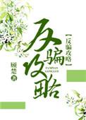 反骗攻略快穿格格党