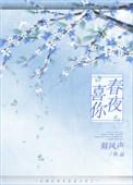 春夜喜你书包网