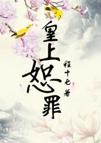 皇上恕罪程十七