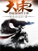 大宋的最强纨绔子弟好看吗