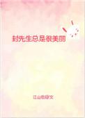 封先生很美丽txt
