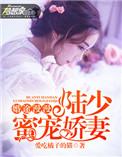 漫漫婚途陆少求放过苏韵全文阅读
