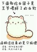 你的尾巴戳到了我