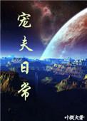 宠夫日常叶枫火