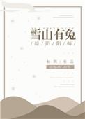 综雪山有兔