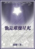 他是璀璨星光无防盗无重复