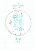 终于等到你台词