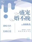 盛宠婚不晩