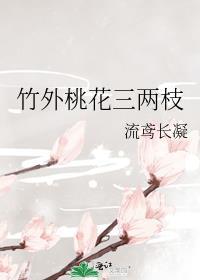 竹外桃花三两枝是谁写的