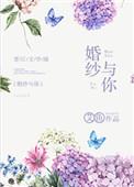 婚纱与你 全文阅读