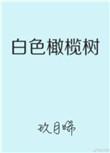 白色橄榄树在哪个平台播出
