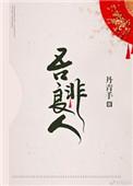 吾非良人丹青手txt盘