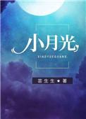 小月光txt