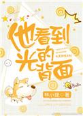 他看到光的背面番外