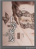 上等宠爱李陵