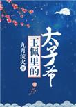 玉佩里的太子爷txt百度资源