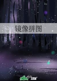 镜像拼图剧透