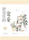 封先生的宠爱完整版