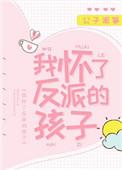 我怀了反派的孩子他娶我是为了护住女主
