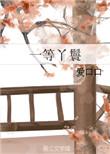 丫鬟等级表