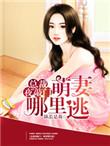 总裁夜敲门萌妻哪里逃TXT