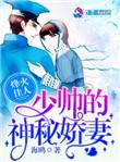 烽火佳人少帅的神秘娇妻海鸥的大全