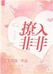 撩入非非txt