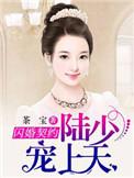 闪婚娇妻陆少太心急