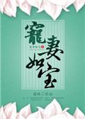 宠妻如宝全文阅读