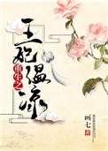 重生之王妃温凉讲的什么