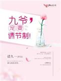 九爷宠妻请节制完整版全文免费