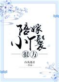 陪嫁丫头