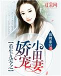 小甜妻