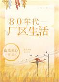 80年代厂区生活全文阅读