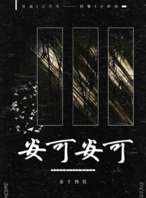 安可安可金十四钗简介