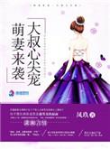 陆先生的宠婚免费阅读全文