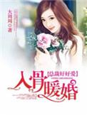 入骨暖婚6