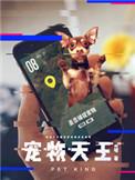 宠物天王起点中文网