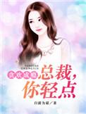 总裁轻点爱免费阅读全文