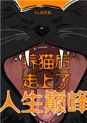 养猫后走上人生巅峰