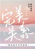 完美关系 电视剧