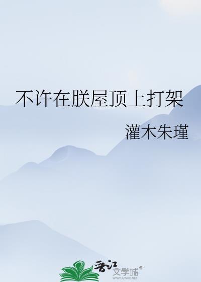 不许在朕屋顶上打架攻是谁